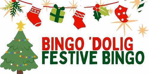 BINGO 'DOLIG\/ FESTIVE BINGO