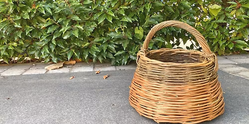 Willow Foraging Basket Workshop