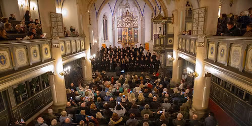 Highlights zu Weihnachten 