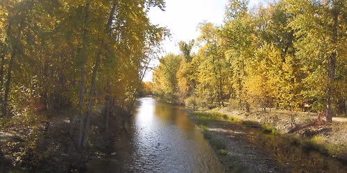 Friends of Mission Creek Society AGM