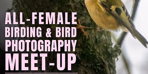 All-female Birding & Bird Photography Morning