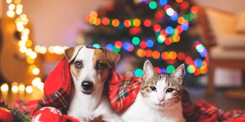 Paws for the Holidays