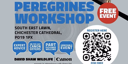 Chichester Cathedral Peregrines Workshop with David Shaw Wildlife and Canon