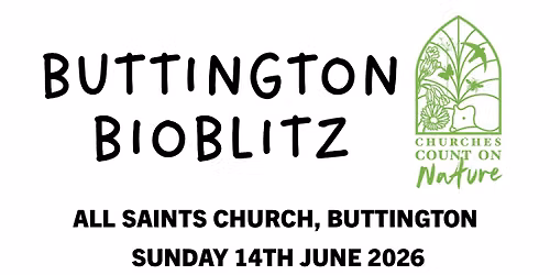 Buttington Bioblitz