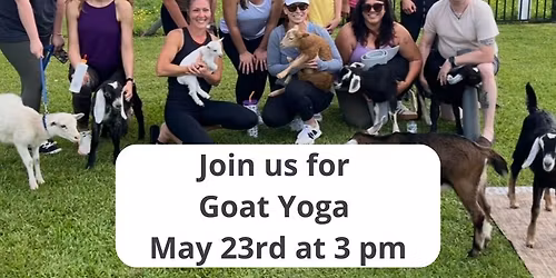 \ud83c\udf38\ud83e\uddd8\ud83c\udffb\u200d\u2640\ufe0f May Goat yoga \ud83d\udc10 \u2600\ufe0f
