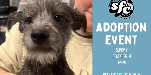 12\/14 Adoption Event at PetSmart Central Park