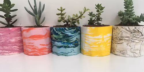 Marbled Plant Pot Workshop + free plant