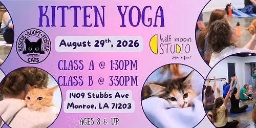 Kitten Yoga at Half Moon Studio