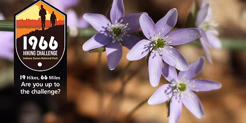 Heron Rookery 1966 Hiking Challenge