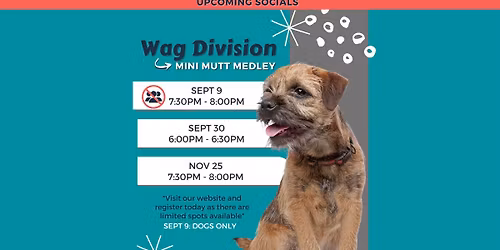 Socials - Mini Mutt Medley