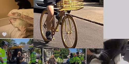 The Grande Finale GG maintenance course