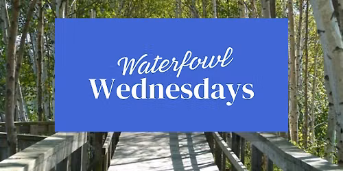 July 29 \u2013 Waterfowl Wednesday - Scavenger Hunt Day (ages 5 to 12)