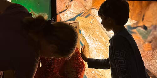 Kids' Night Out: Hibernation Station