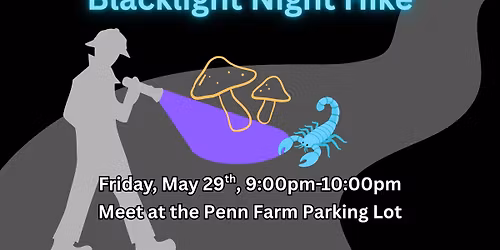 Blacklight Night Hike