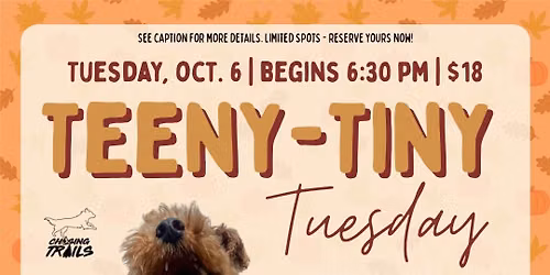 TEENY-TINY TUESDAY | Small Dog Playgroup (Must Pre-Register!)