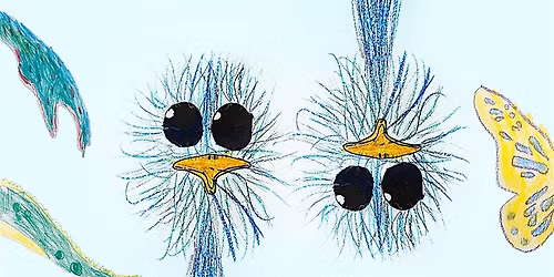 Shape Shifters - a special performance for NEA Members