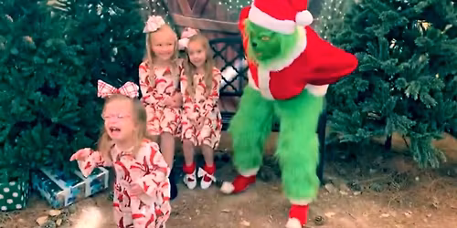 The Grinch Stole Playtime - December 13