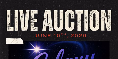 Live Auction @ Galaxy Auction Company