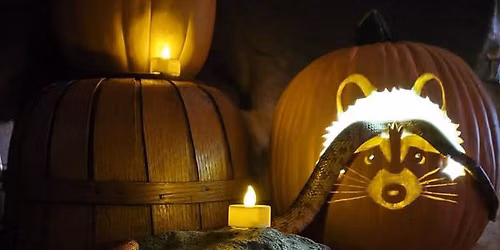 Pumpkin Glow at Oakland Nature Preserve