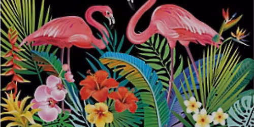 \ud83c\udf34 Projekt Dance with Jen & Cin: Tropical Nights Dance Party \ud83c\udf3a