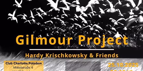 Hardy Krischkowsky & Friends - Gilmour Project - The Sound of Pink Floyd