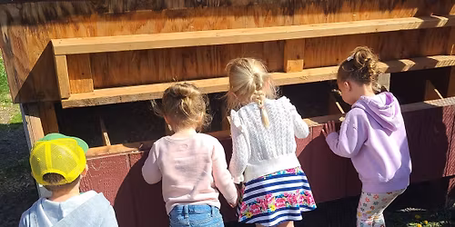 Read & Pick Program: Chickens 