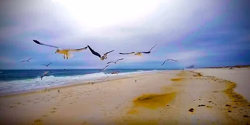 Ladies Christmas Brunch, Midway Church Navarre