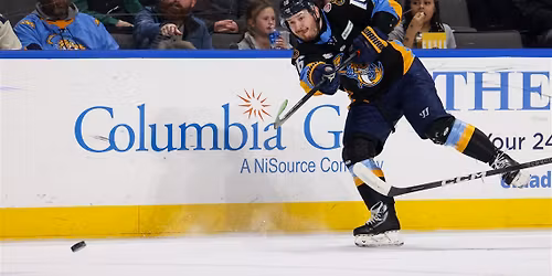 Wheeling Nailers at Toledo Walleye at Huntington Center