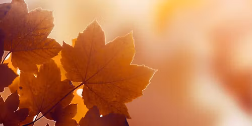 LIFE-korets efter\u00e5rskoncert