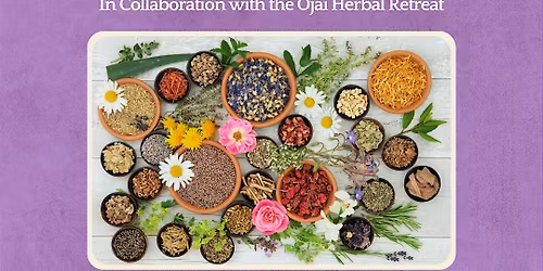 Herbalism Networking Event at Ema's Herbs