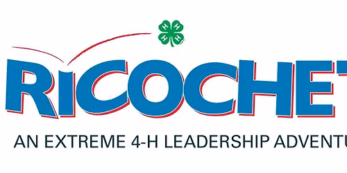 Ricochet Leadership Adventure