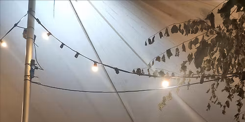 Singaround The Commons - Yuletide Tunes