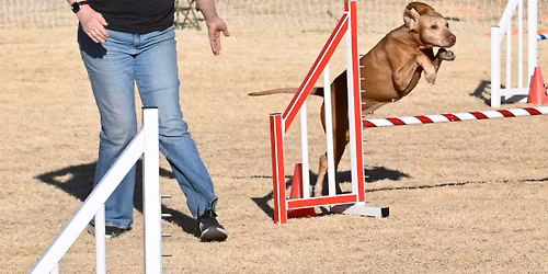 October CPE agility trial