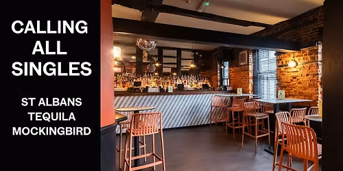 Singles Social Mixer - Two parties, one big venue. Under 35s \/ Over 35s.