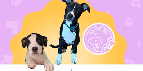 Shop till you adopt!