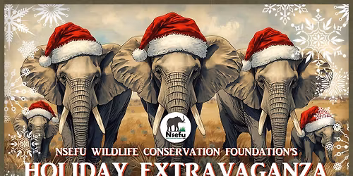Nsefu Holiday Extravaganza
