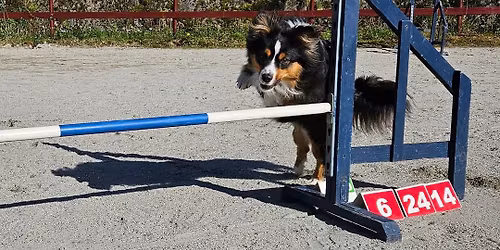 Handlingkurs dagtid mai\/juni FULLT