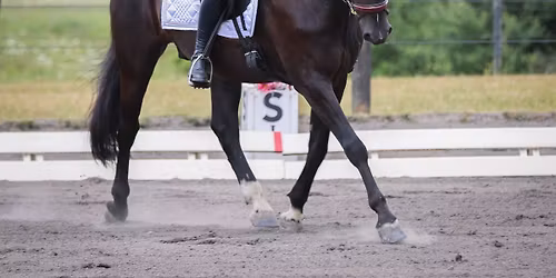 Twilight Dressage; Challenge Series Show