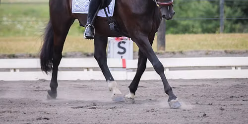 Twilight Dressage; Challenge Series Show