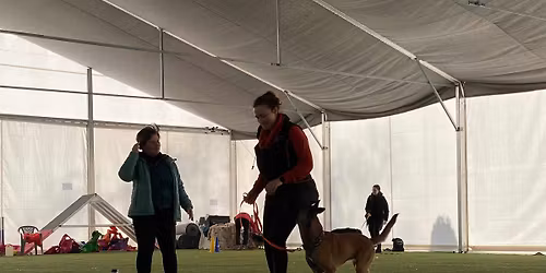 Trening Grup Socjalnych w Caniversum - 27 grudnia