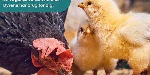 Hemmeligt event mod dyrefors\u00f8g \/ secret event agains animal testing