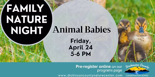 Family Nature Night: Animal Babies