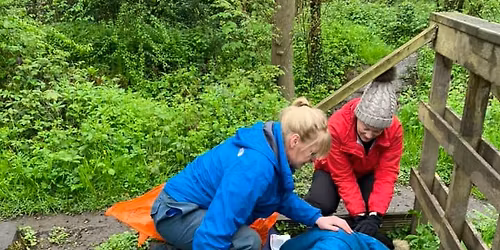 First Aid Training Provided at Wrekin Forest School by Peritia Training Ltd