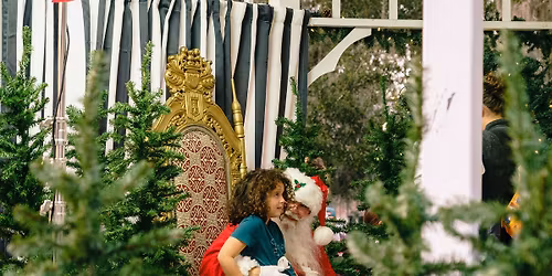 Holiday on The Drive