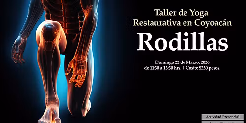 Taller de Yoga Restaurativo en Coyoac\u00e1n: Rodillas