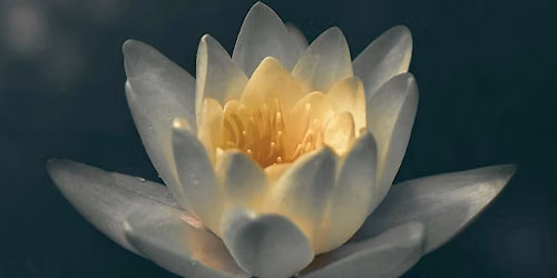 June Reconnection Reset at Converge Yoga