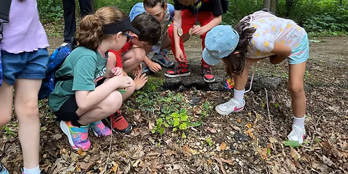 Summer Camp - Tracking & Survival