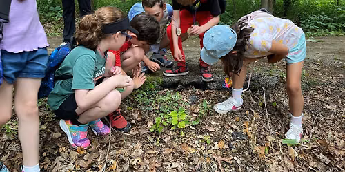 Summer Camp - Tracking & Survival