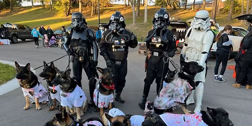 Halloween Dog Walk