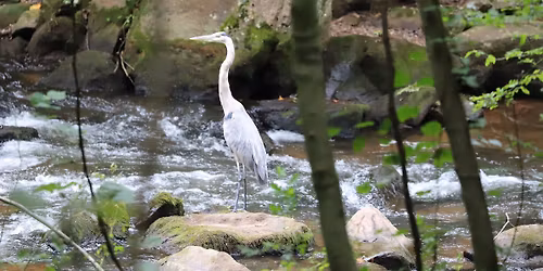 HCWA General Meeting